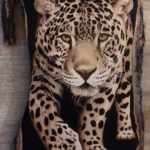 Leopardo 